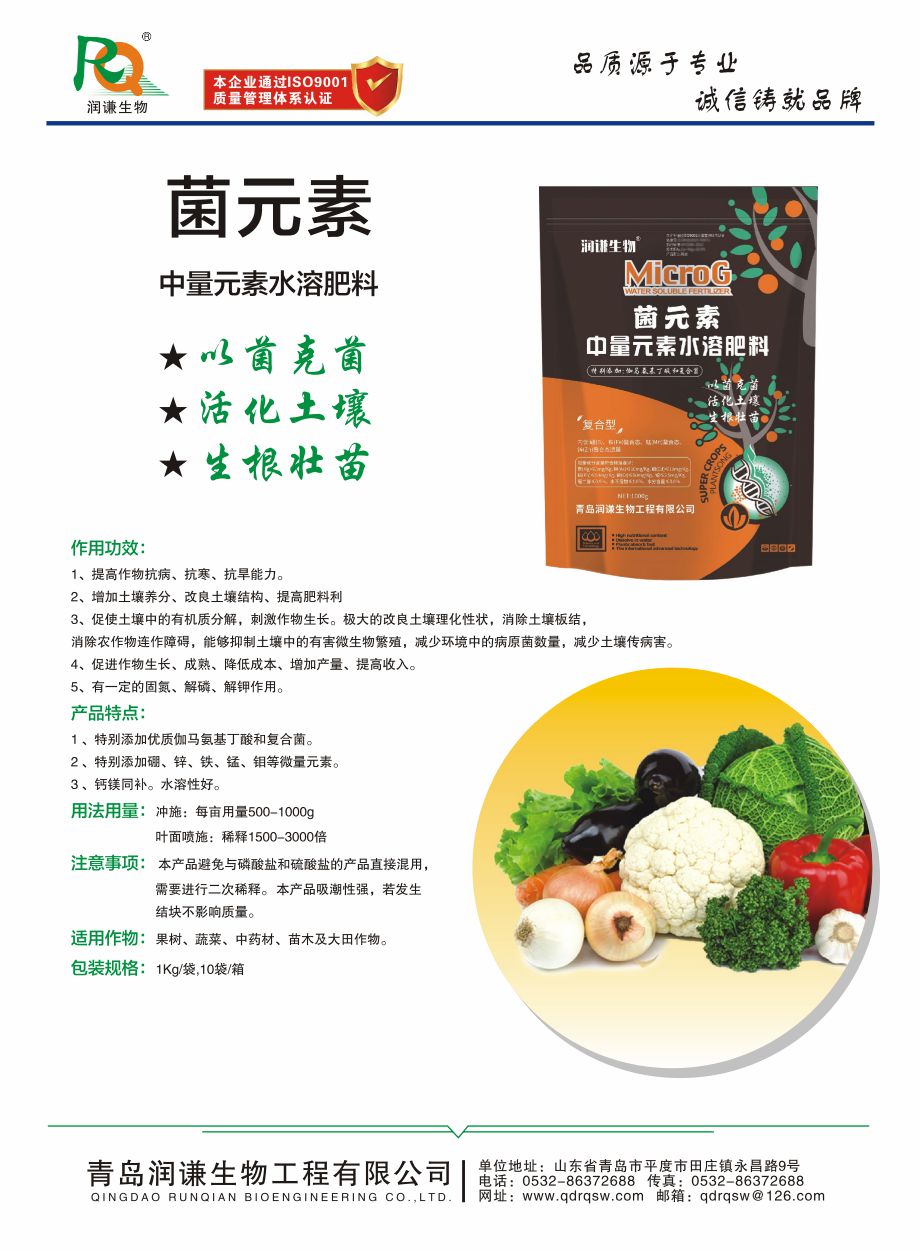 菌元素.jpg